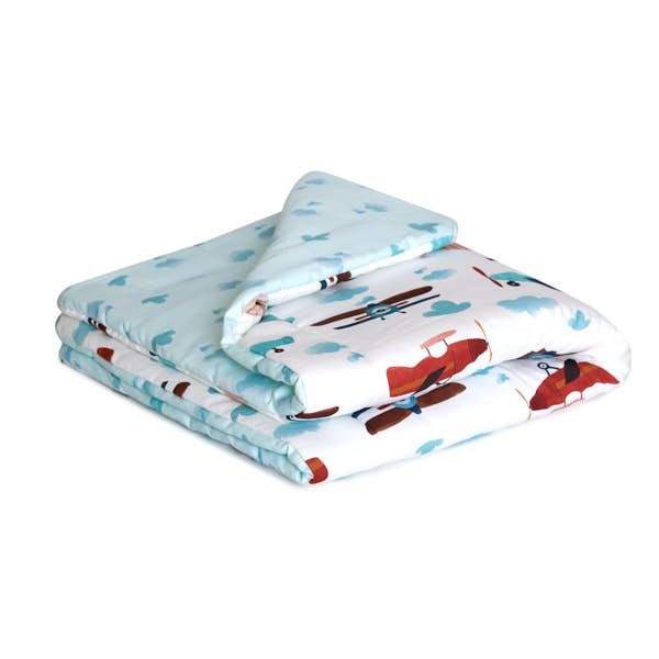 Baby Quilt S - Airplane